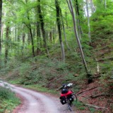 1808F 065 Isar Radweg